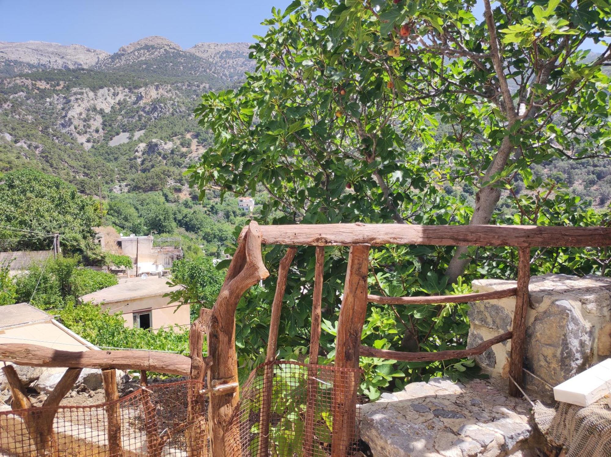 Kato Symi House Villa Kato Simi Exterior photo
